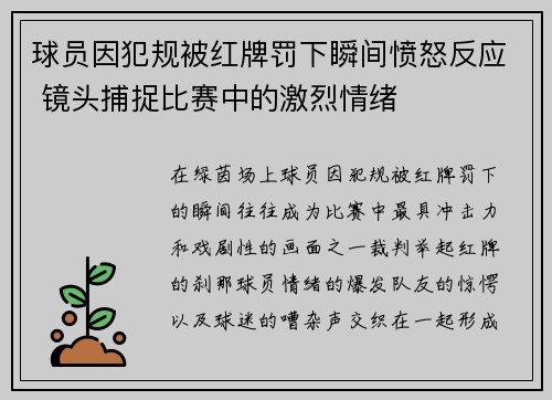 球员因犯规被红牌罚下瞬间愤怒反应 镜头捕捉比赛中的激烈情绪